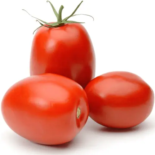 Tomato Fresh