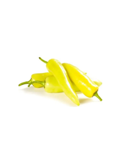 Capsicum 
