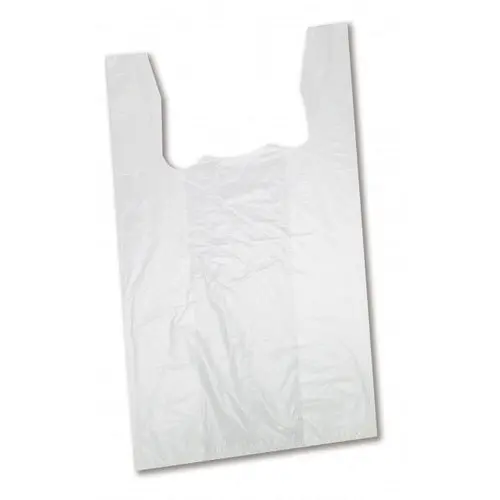 Non Woven Bag 100 s Bundle 
